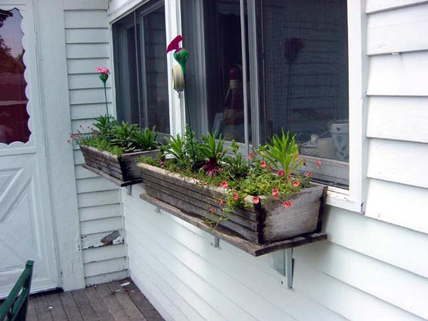 12windowboxes