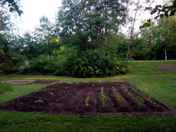 50veggiegarden3longview