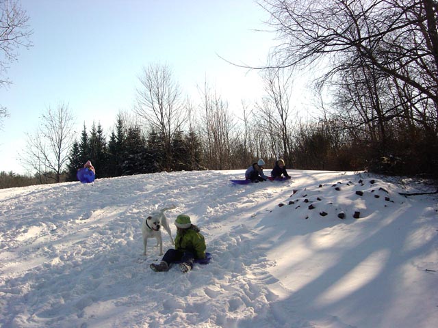 snowday12erin