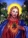 Cruz_SweetLeaf_Jesus