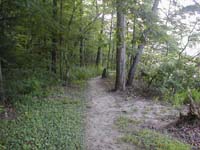 trail1