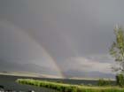 FestRainbow