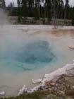 JellystoneHotSpring