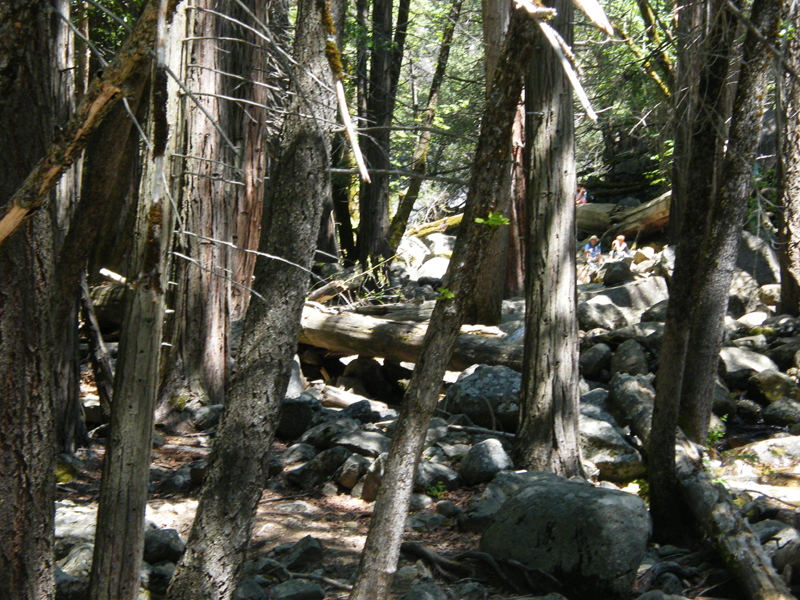 Bridal  Veil Falls10