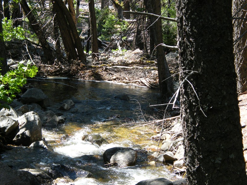 Bridal  Veil Falls11