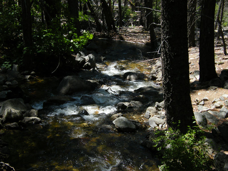 Bridal  Veil Falls12
