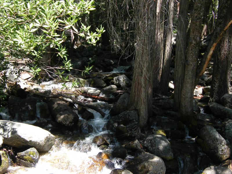 Bridal  Veil Falls14