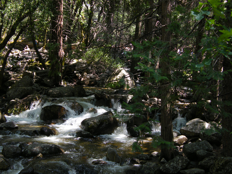Bridal  Veil Falls16