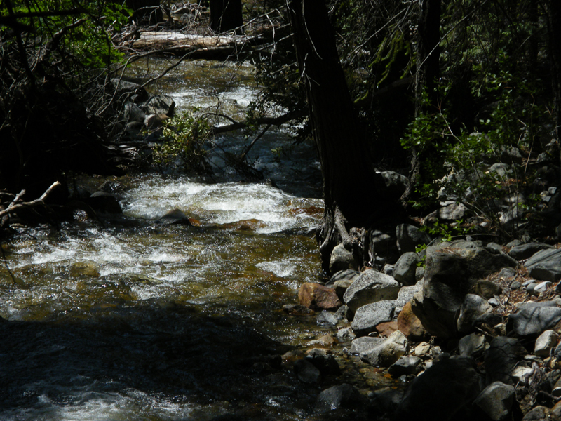 Bridal  Veil Falls18