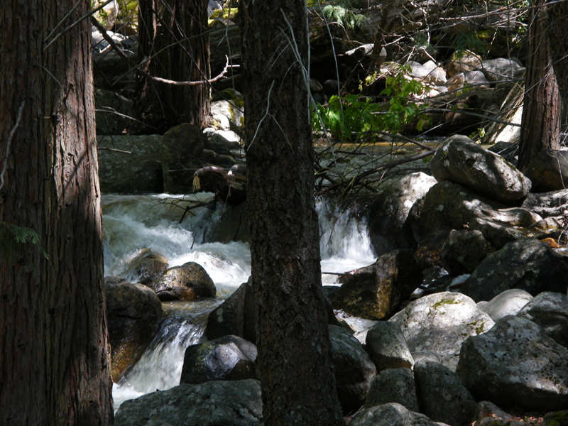 Bridal  Veil Falls19