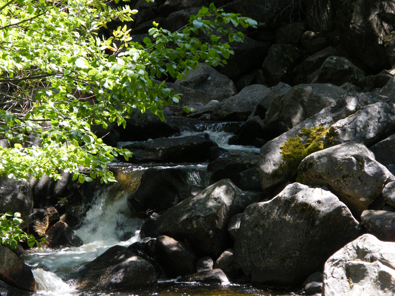 Bridal  Veil Falls21