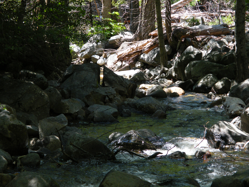 Bridal  Veil Falls22