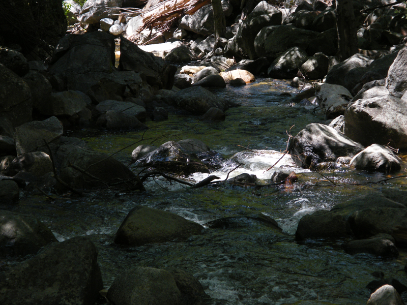 Bridal  Veil Falls23