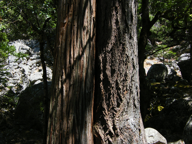 Bridal  Veil Falls24