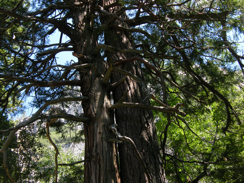 Bridal  Veil Falls25