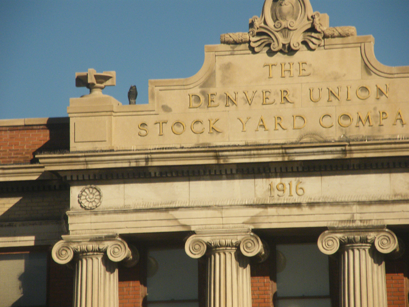 Denver Unions Stockyard company