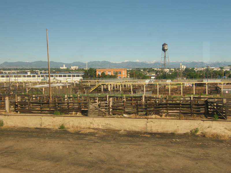 Denver old stockyards