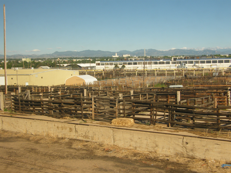 Denver old stockyards2