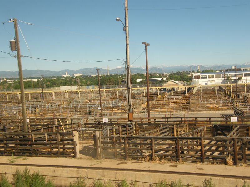 Denver old stockyards3