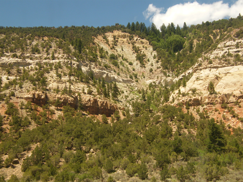 Fraser Canyon colorado24