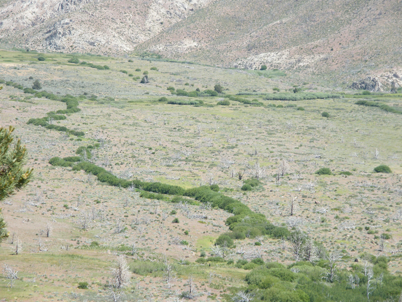 From the top of Monitor pass at about 8000 feet6