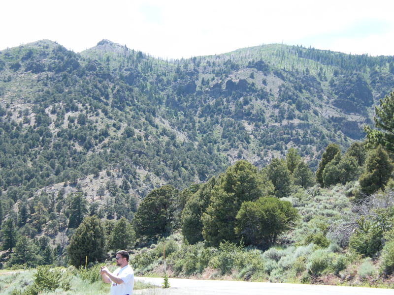 From the top of Monitor pass at about 8000 feet8