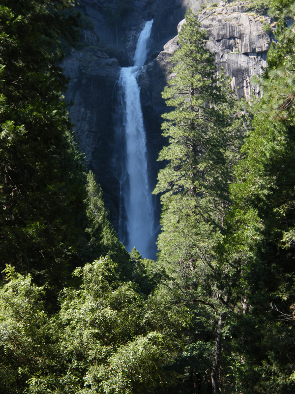Lower Yosemite falls