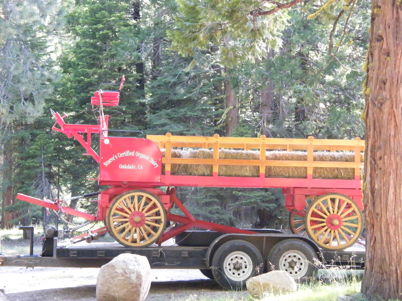 Not sure why a hay wagon was at Ratfest Central