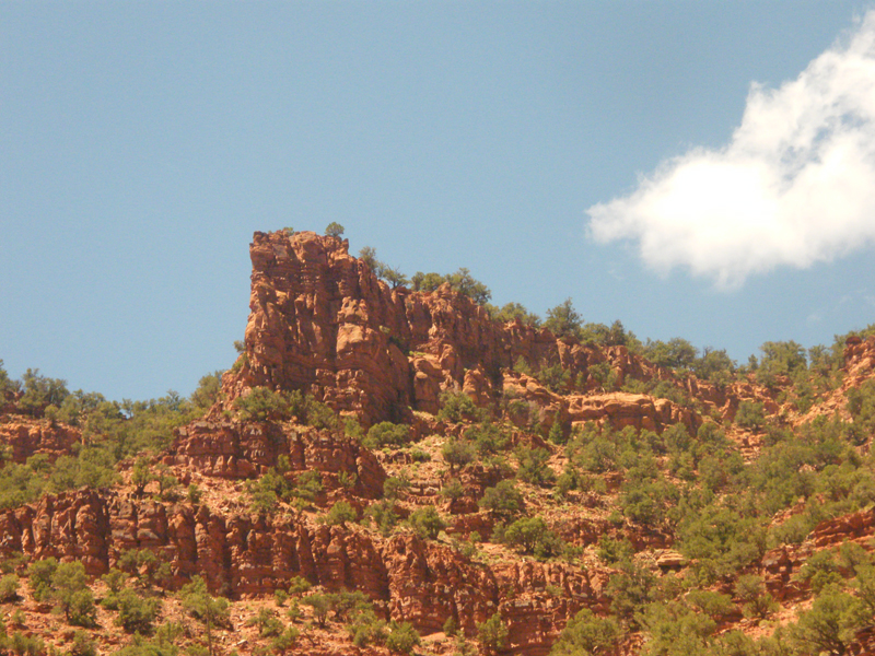 Red Rock Canyon12