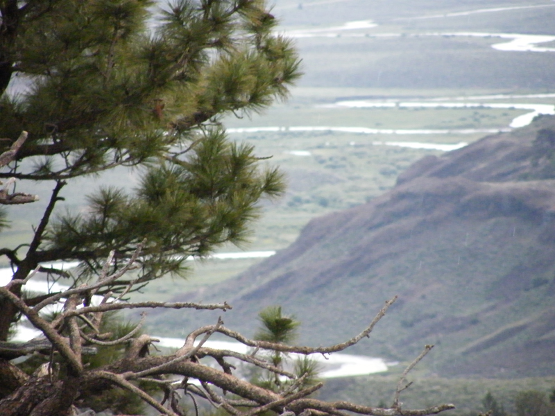 Sonora Pass2