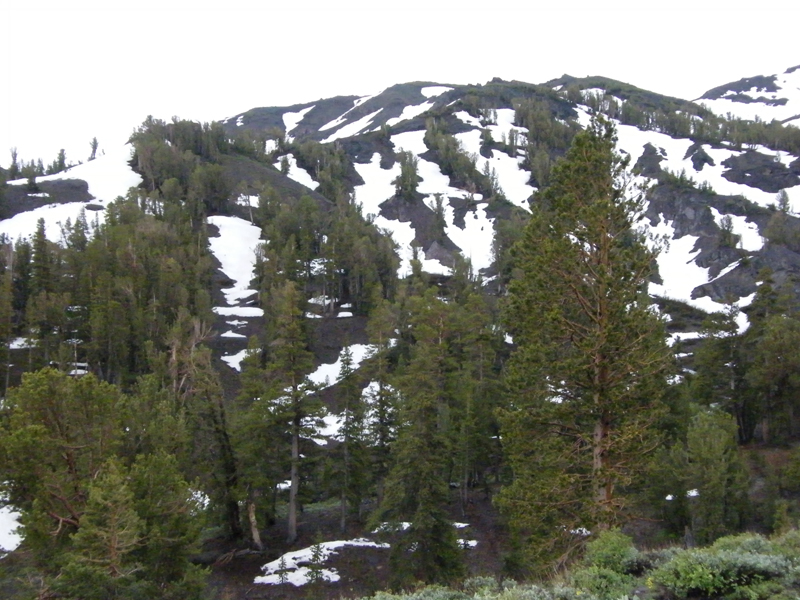 Sonora Pass8