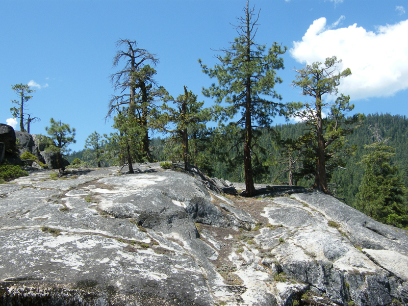 Stanislaus river13