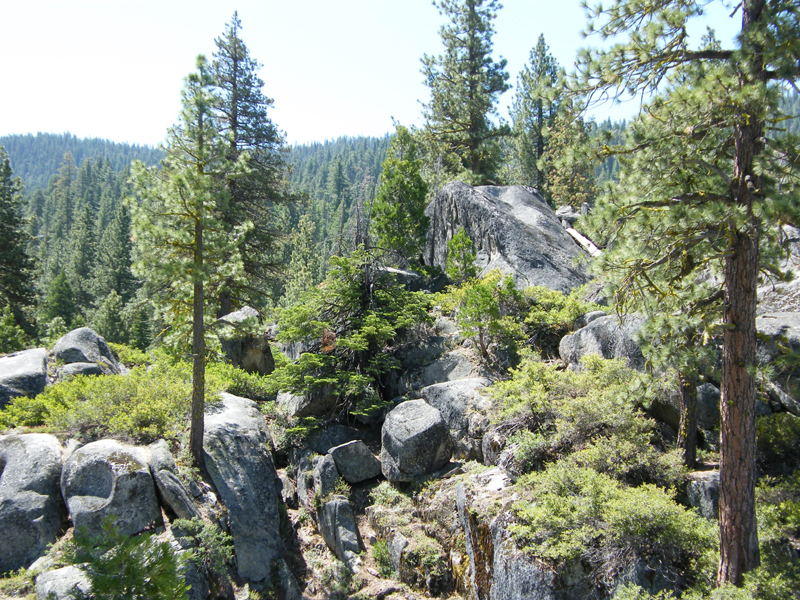 Stanislaus river14