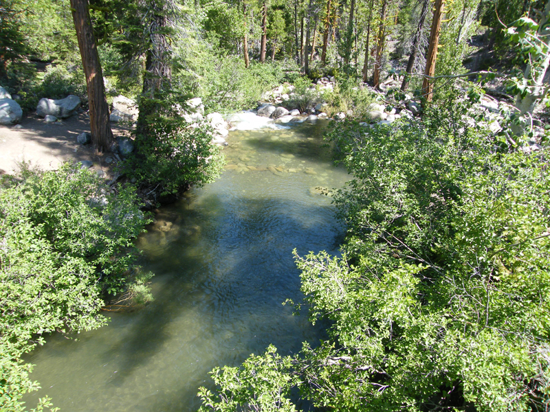 Stream at Dardanelle