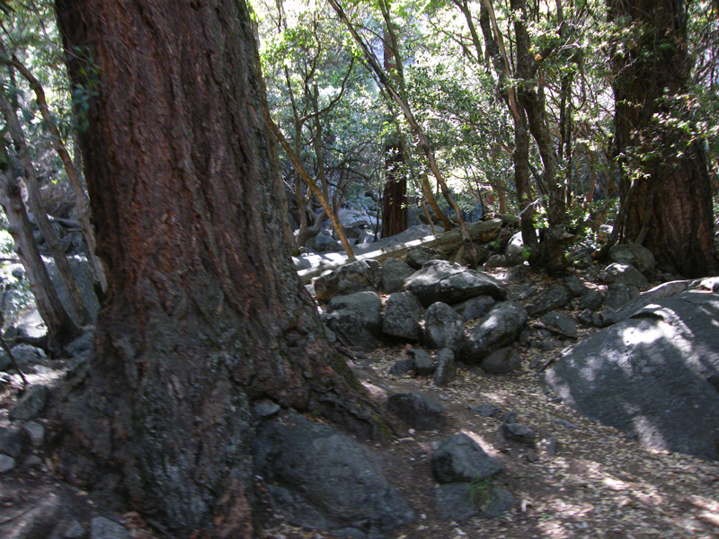 Yosemite falls6