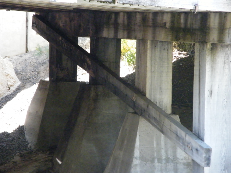 details Old Dardanelle bridge2