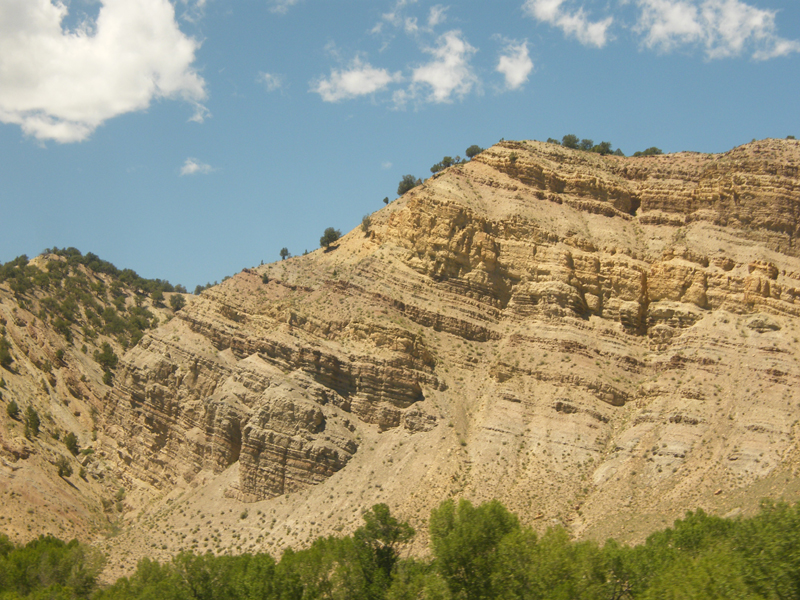 next canyon10