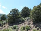 From the top of Monitor pass at about 8000 feet10
