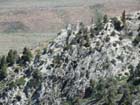 From the top of Monitor pass at about 8000 feet5