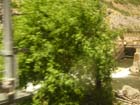 Glenwood Canyon33