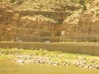 Glenwood Canyon4
