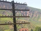 Glenwood Canyon66