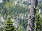 Lake Tahoe4