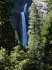Lower Yosemite falls