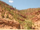 Red Rock Canyon3