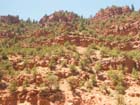 Red Rock Canyon4