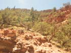 Red Rock Canyon5