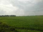 Somewhere Illinois