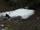 Sonora Pass10