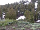 Sonora Pass9